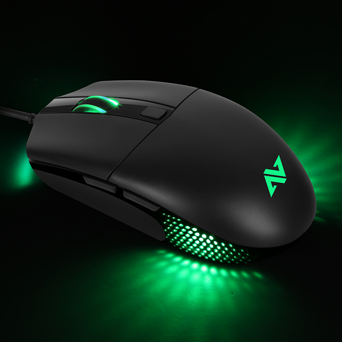 A660 Professional Gaming Mouse